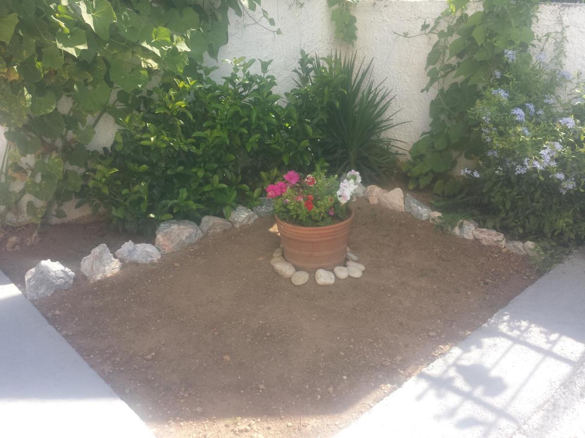 הוילה ארטמידה Smile House Near Athens Airport 300M From The Sea מראה חיצוני תמונה