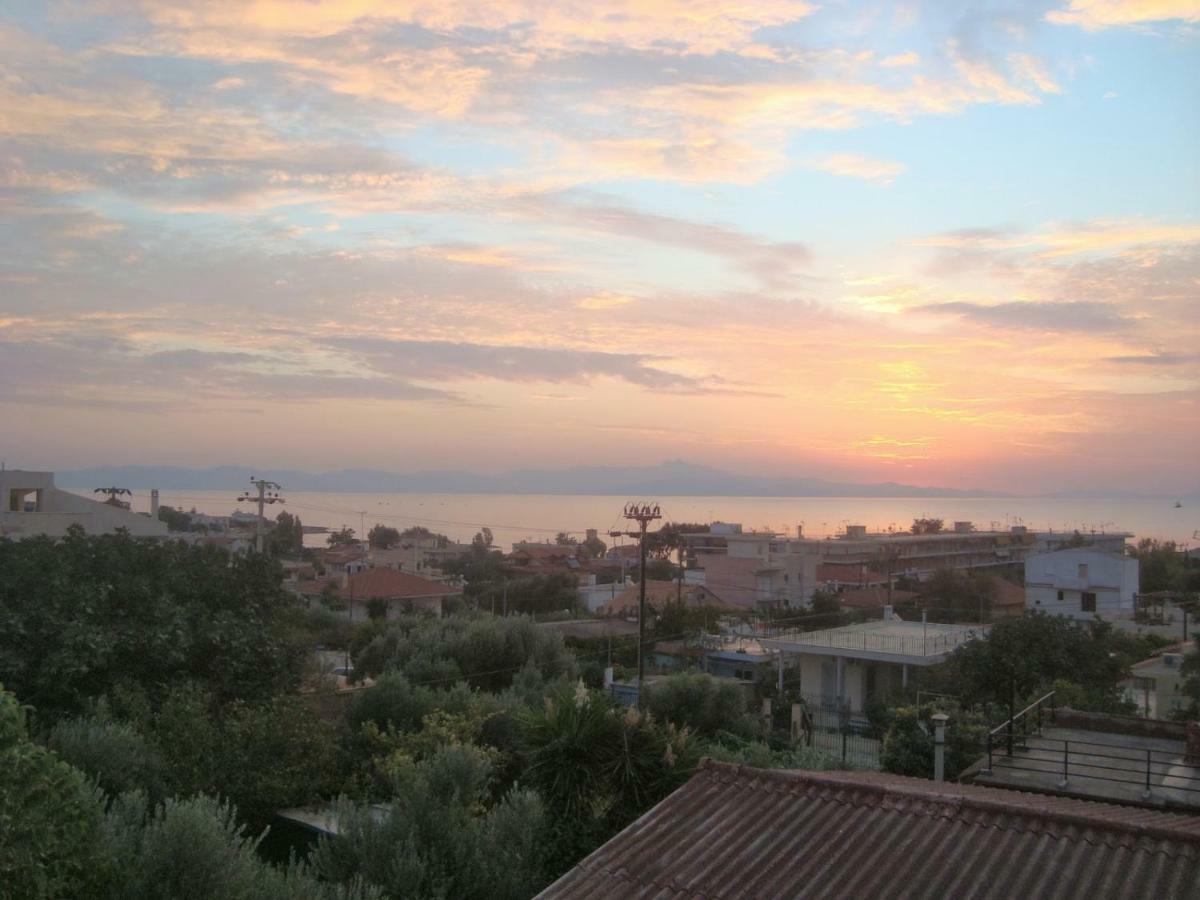 הוילה ארטמידה Smile House Near Athens Airport 300M From The Sea מראה חיצוני תמונה