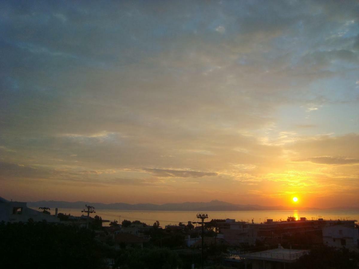 הוילה ארטמידה Smile House Near Athens Airport 300M From The Sea מראה חיצוני תמונה
