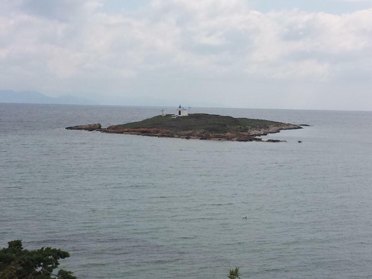 הוילה ארטמידה Smile House Near Athens Airport 300M From The Sea מראה חיצוני תמונה