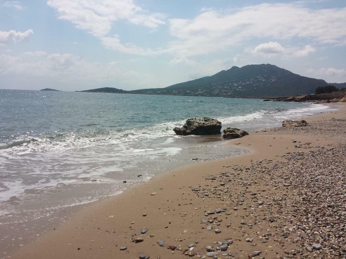 הוילה ארטמידה Smile House Near Athens Airport 300M From The Sea מראה חיצוני תמונה
