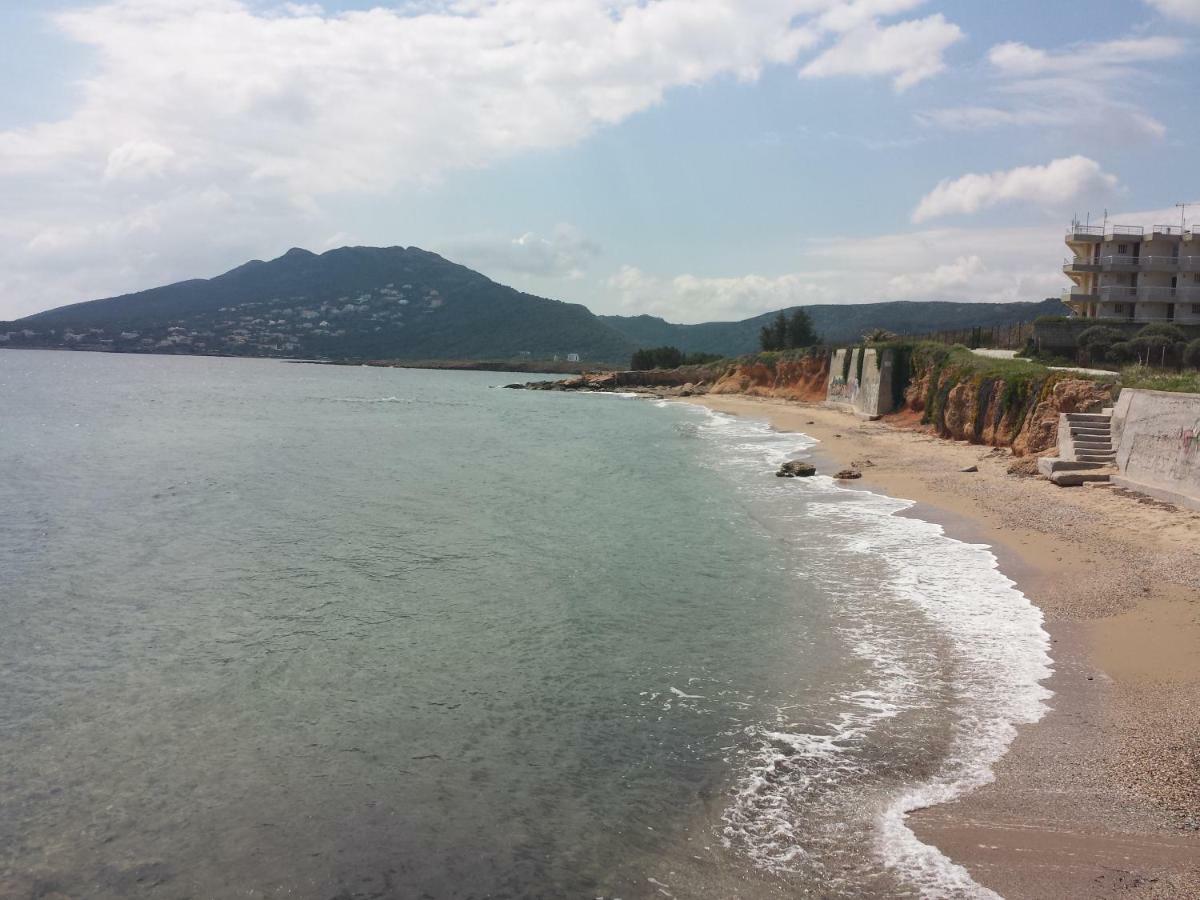 הוילה ארטמידה Smile House Near Athens Airport 300M From The Sea מראה חיצוני תמונה