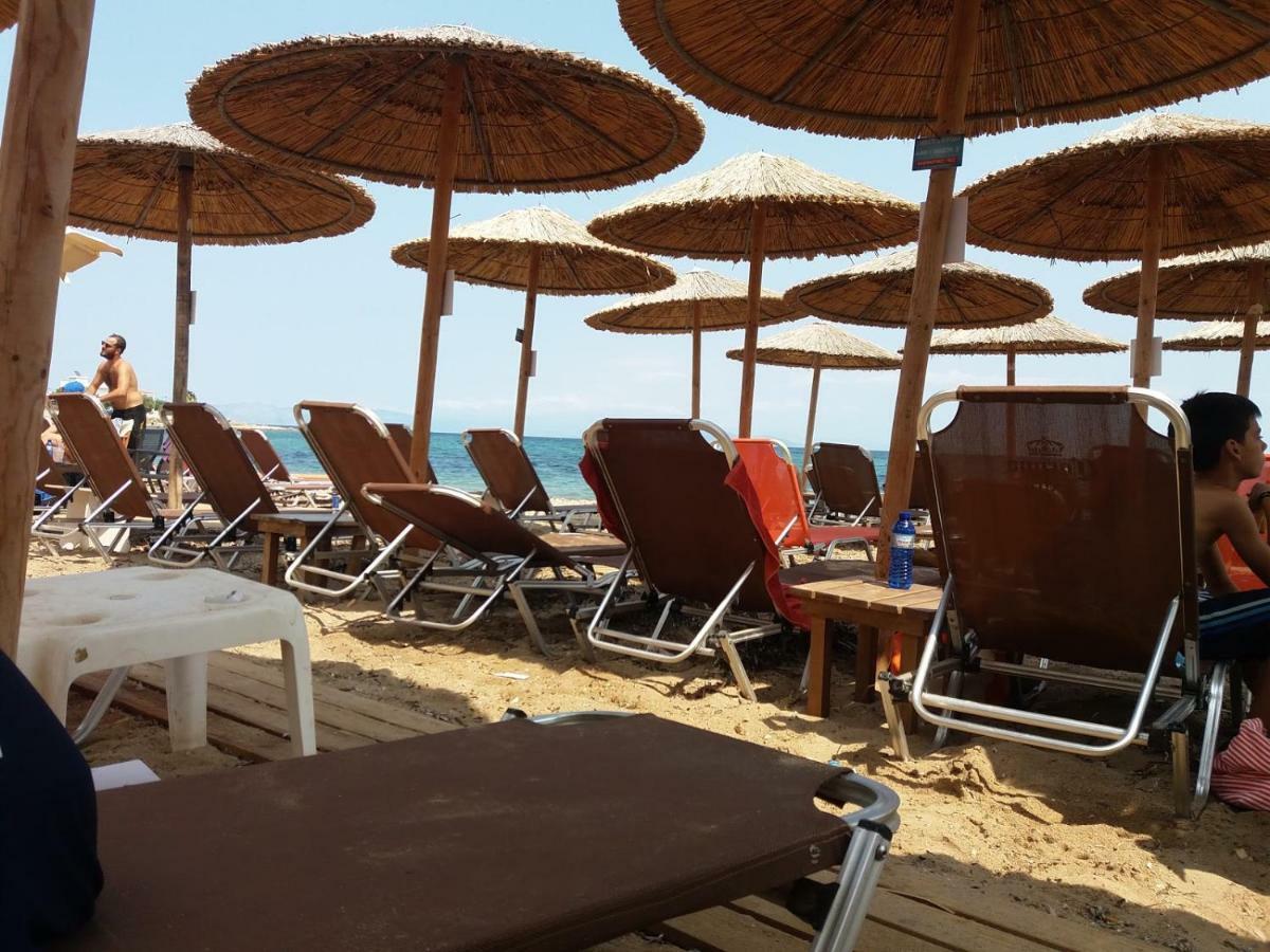 הוילה ארטמידה Smile House Near Athens Airport 300M From The Sea מראה חיצוני תמונה
